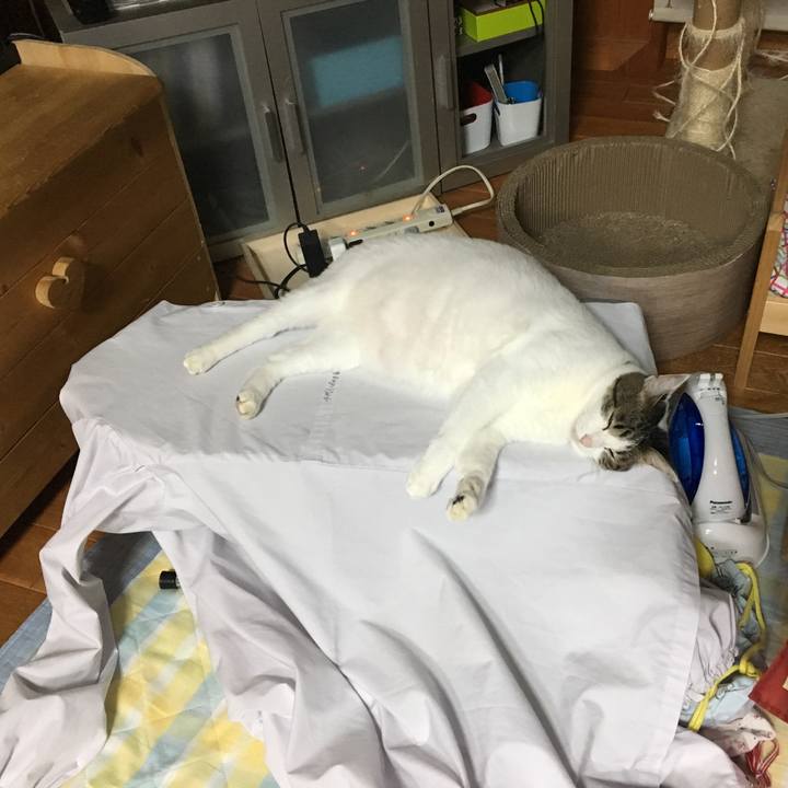 A971e144 5768 4065 8694 338ff1101021 1539551629337