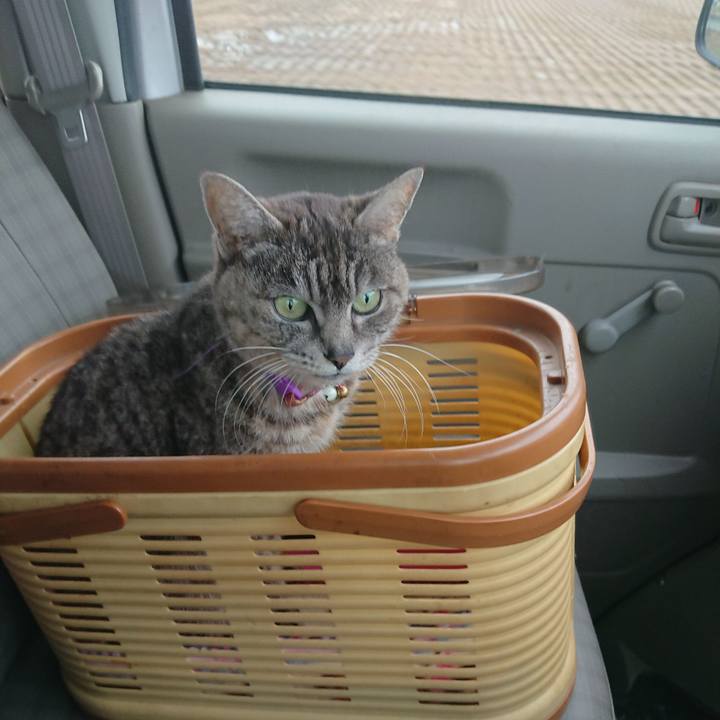 A971e34c bbbe 41b2 b3f0 7d64bcc65438 1584169102676