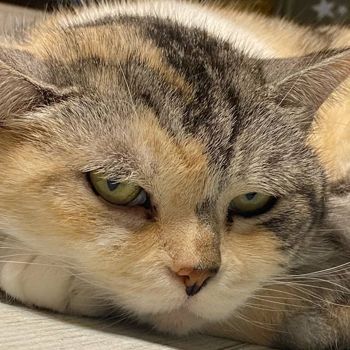 A971e4d5 16b6 4922 a331 c0747bf34573 1618507182733