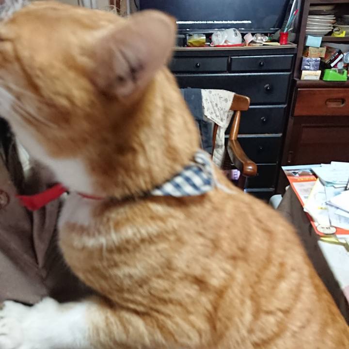 A972240f fa51 40ad 9c7e e2cd546038eb 1574465686400