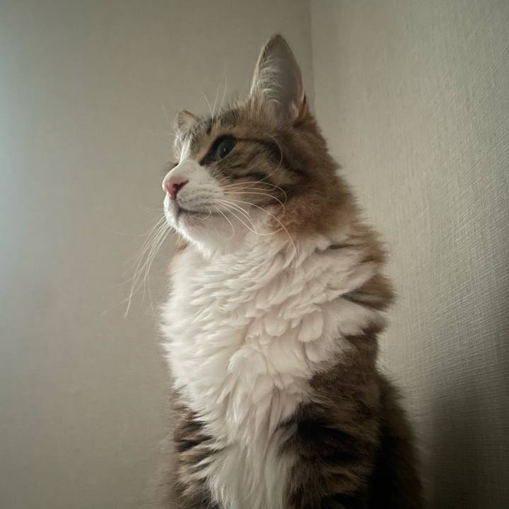 A9723892 ecfa 4f1f 9c97 dc4d7ffb432e 1771738174044