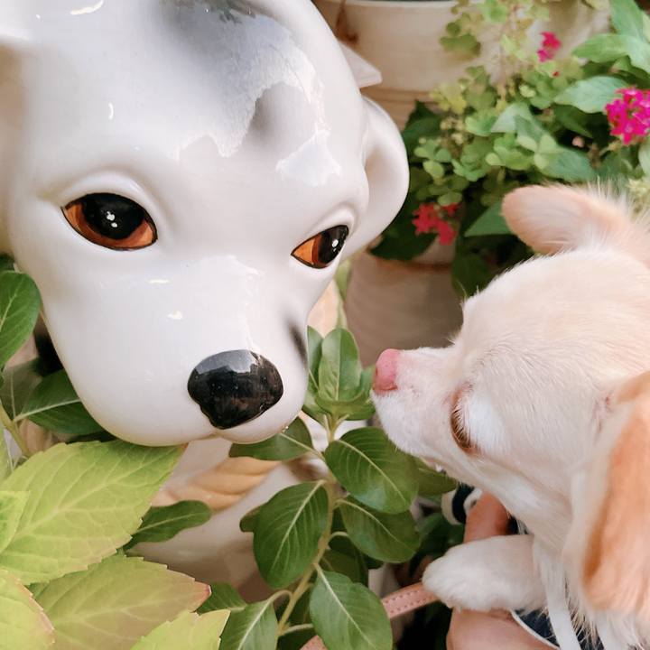 A97239b7 efd6 4359 ba2f 98562abe0177 1667897776195