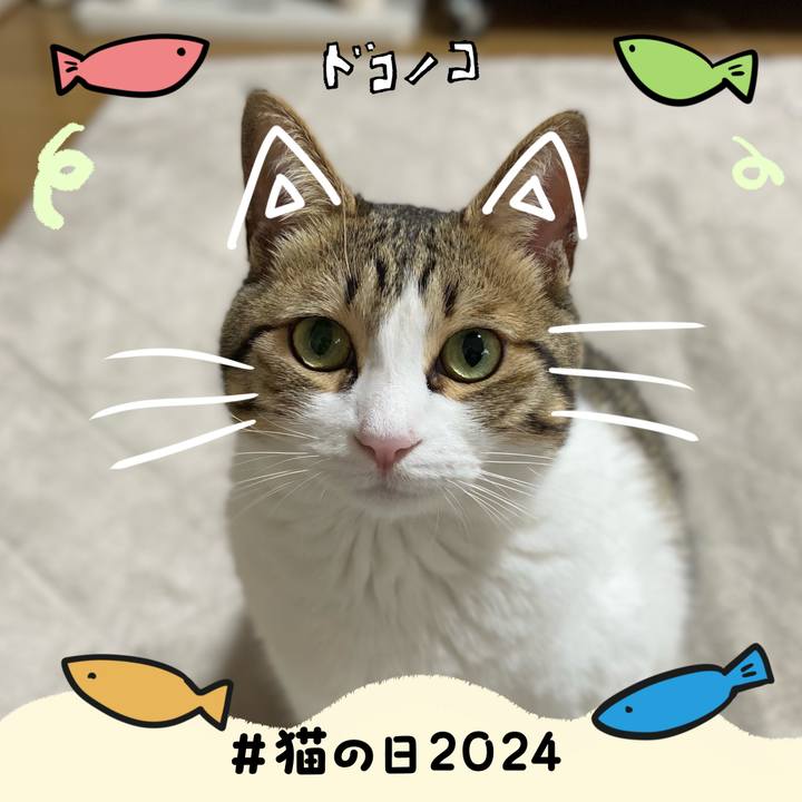A9724fde 2042 4427 a604 c4cd0cd6d4a6 1708586050094