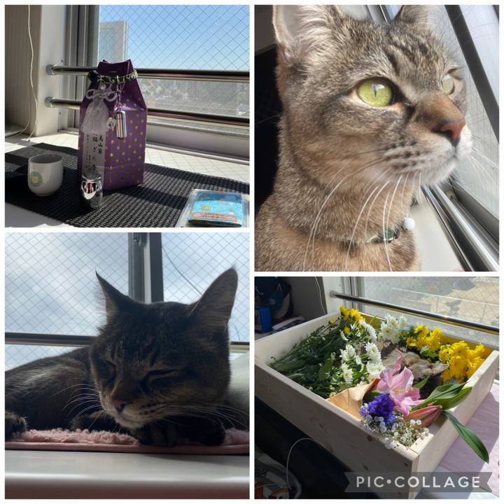 A9726e24 2645 488d bd5f f31627019c46 1677497186436