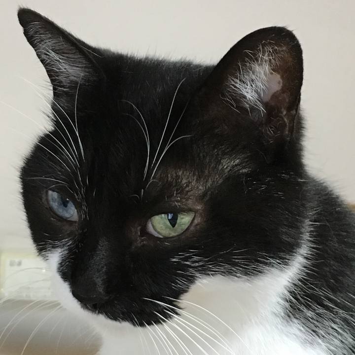 A9727719 663c 430c b220 209323f782d3 1560430462284