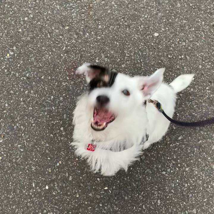 A9728079 051d 4471 884d c678fce6afae 1693388842740