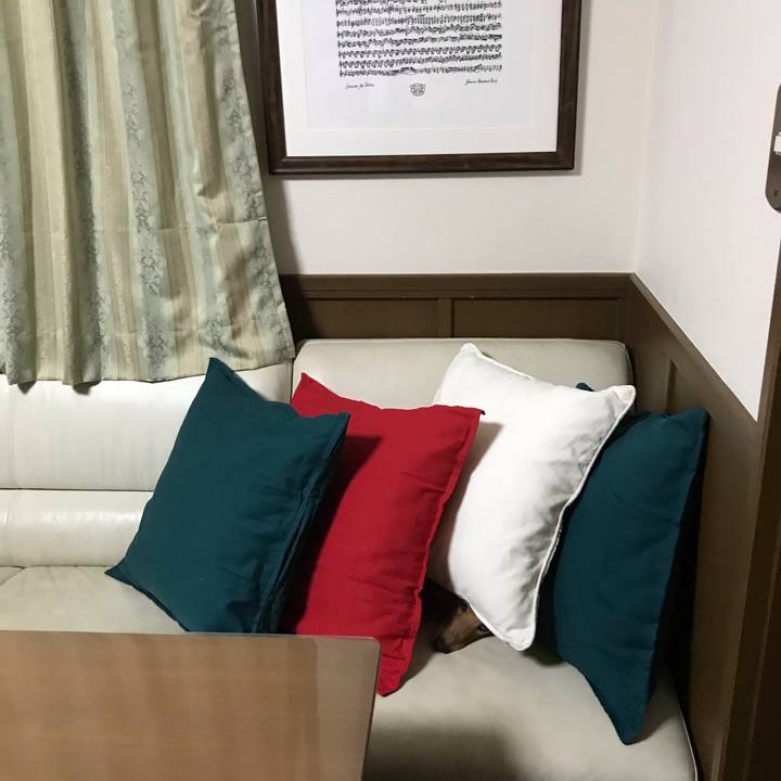 A9729597 116f 488c 8b0c 0ae4781db8c7 1597406461067