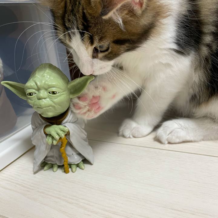 A972a142 54fa 42cd 80d9 4bd95f45b338 1632829424471