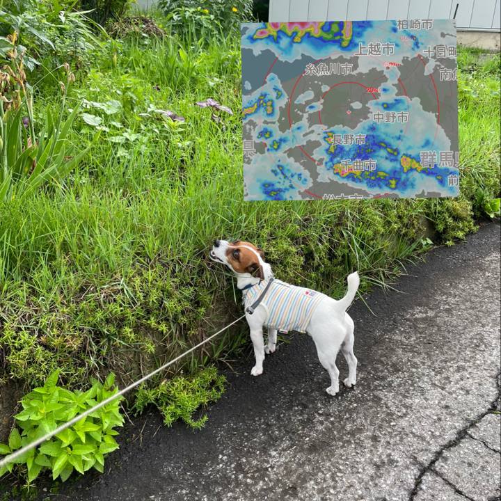 A972bc4c 25d1 4478 a818 5b06f359ed3f 1625809258963