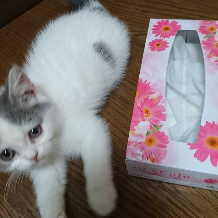 A972de7a 5184 4873 aa34 fe9725ebe760 1526517890241