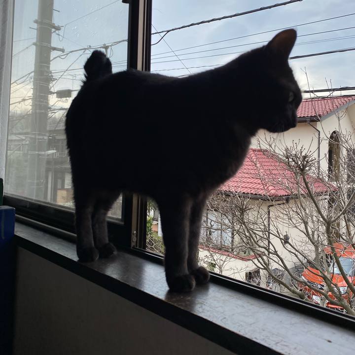 A972df4d 8779 4299 a295 1e2398091a70 1585300011422