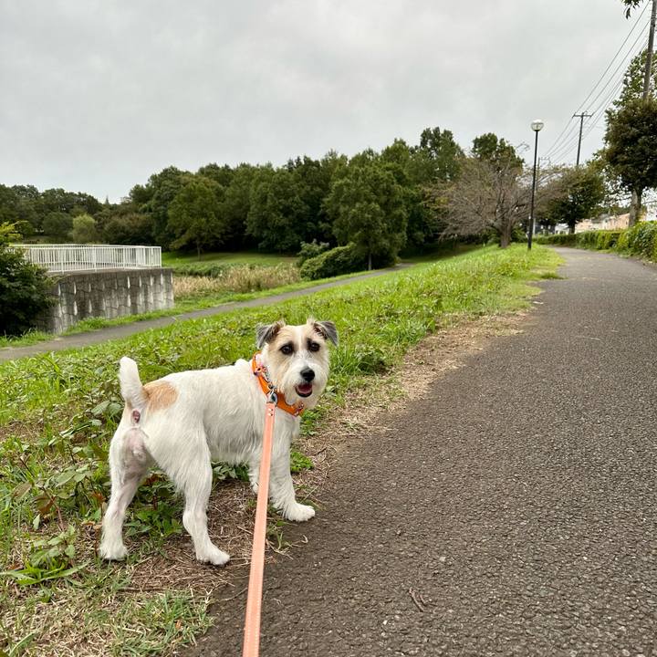 A973597e 2bee 4ab5 9862 3a66c360677f 1696753466409