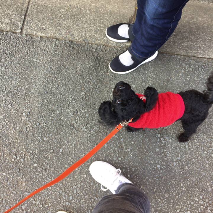 A9736d3f 36f6 4f16 85a4 61cc5483dab5 1514096813758