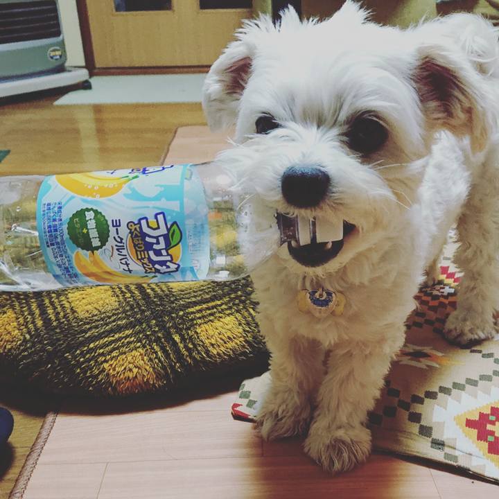 A97388f0 3772 4b21 bb7b 50e9138f7951 1548334155407