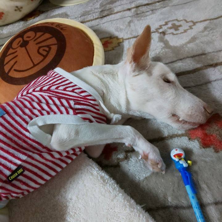 A973a574 dc41 4901 88e2 24592100dd6c 1605204688304