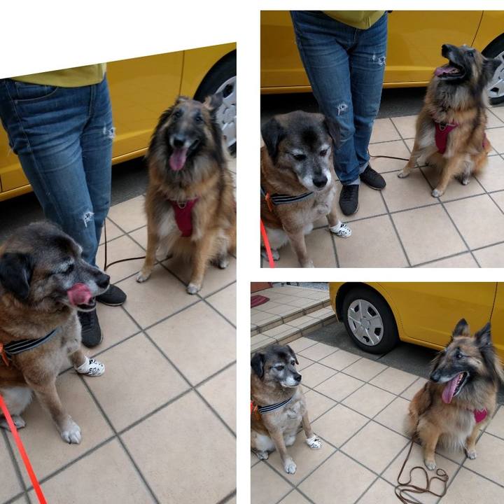 A973b74c 7090 458b baca cb00153a003a 1524471435639