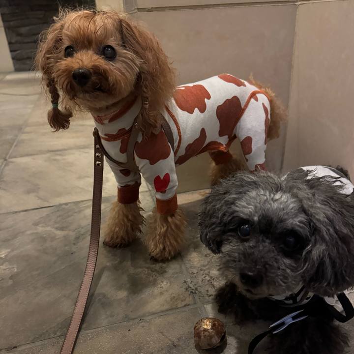 A9743fbd 3df6 404e be5c 597160aa579e 1758322465611