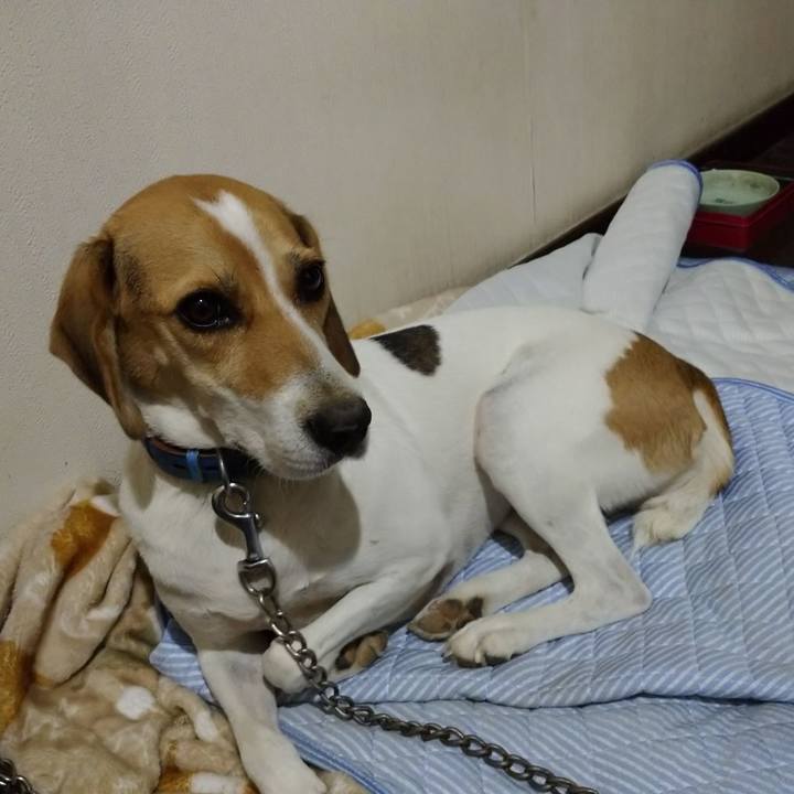 A9748bed 5cf6 4f40 b87b 75d390d6a0f7 1602946037648