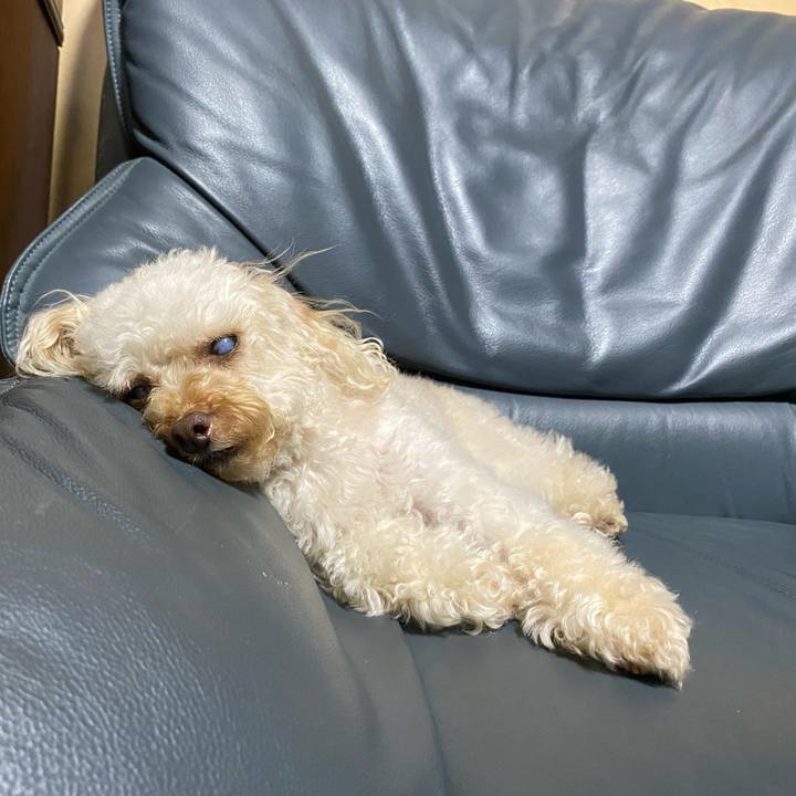 A9749efb 16be 4fd6 8f0d 1acdc646a5b7 1623675536244