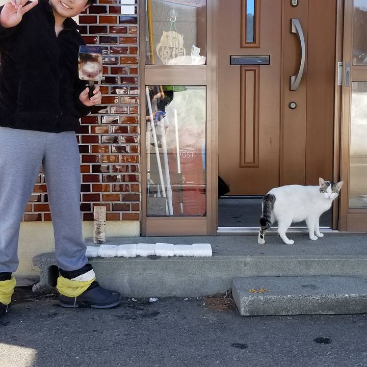 A974accc 8e31 46cc a7ca d2d4a0f3e633 1584508321886