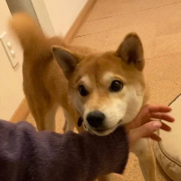 A974b7fd 3700 43cd b13c a0c9feb7e138 1640864198531