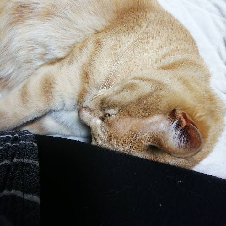 A974e873 6e82 46da b02b 53ee83f727d6 1590234937115