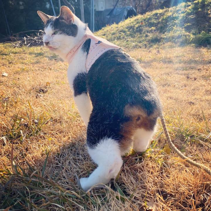 A974fe7c f13f 4be6 b97e cea1045bc8b6 1610782974956