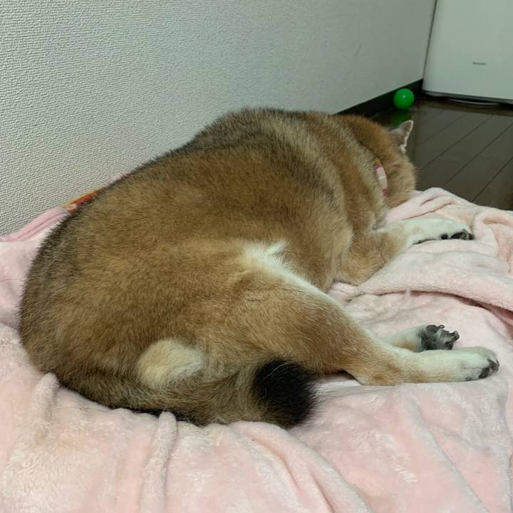 A9750751 ac6d 460e b057 fa65994c0c63 1636454139197