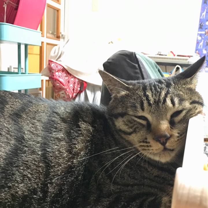 A9751149 6595 4d43 8cd4 c18c72d6fb12 1509199056244