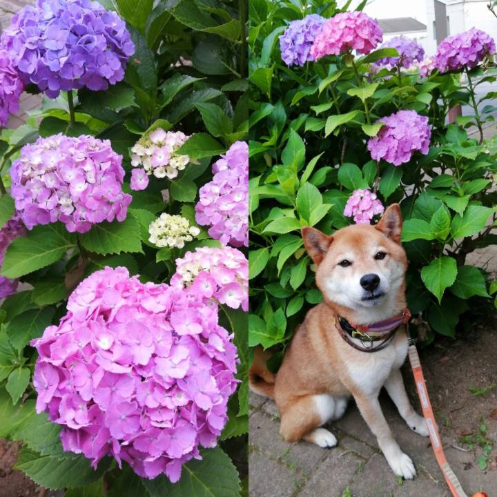 A9752b31 1f7b 4312 bbaf 4648874f1afd 1623140614404