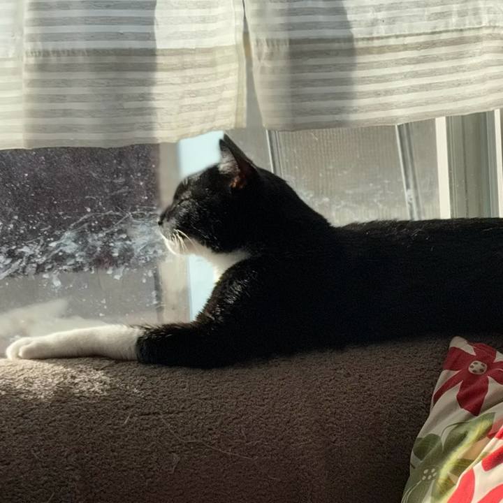 A9752fd5 9234 43c3 ace7 2937b9d56b9b 1759707163259