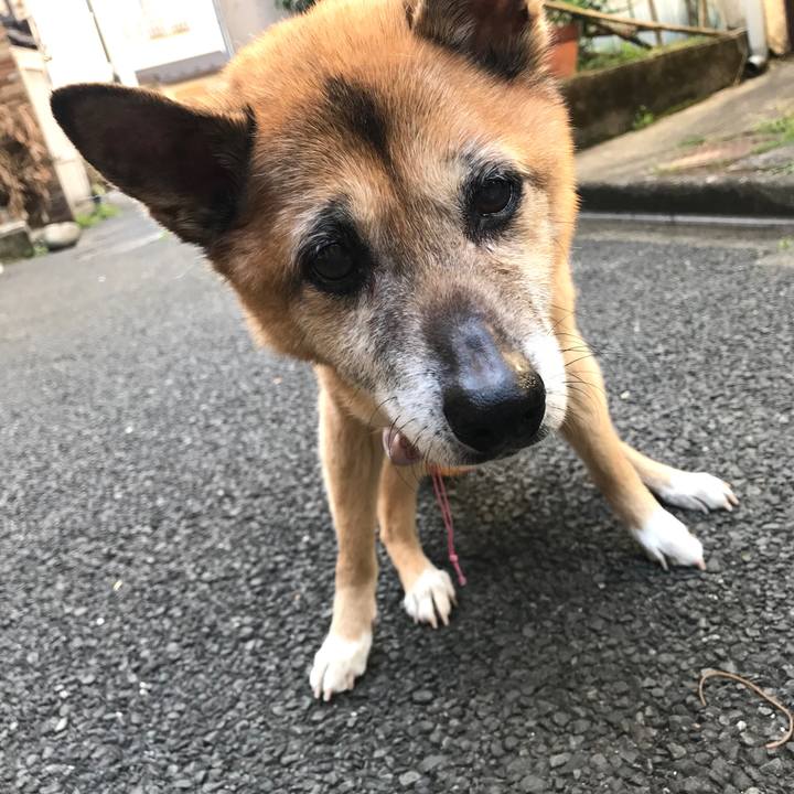 A97551f6 0145 4aed ae21 dc96219eb69a 1555714943627