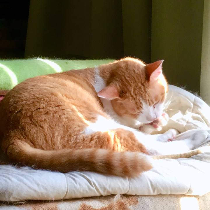 A9756b71 ecee 46e3 b920 e2c5bbb92f8b 1564989589803