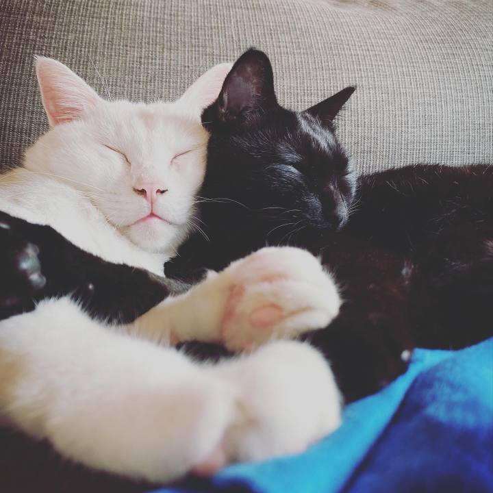 A9756c23 9133 4b6b 841c a43be8295330 1634025659961