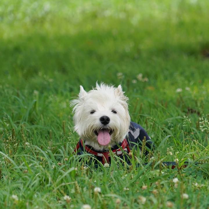 A975b6b0 18f6 46b8 b416 45a3f6333692 1530942366215