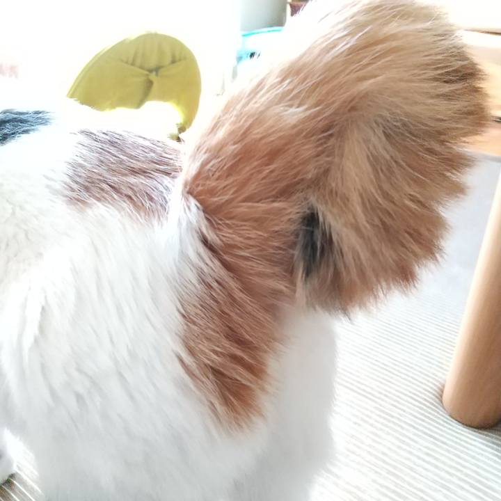 A975e328 63e4 4244 9ce2 951f305146c8 1594104958703