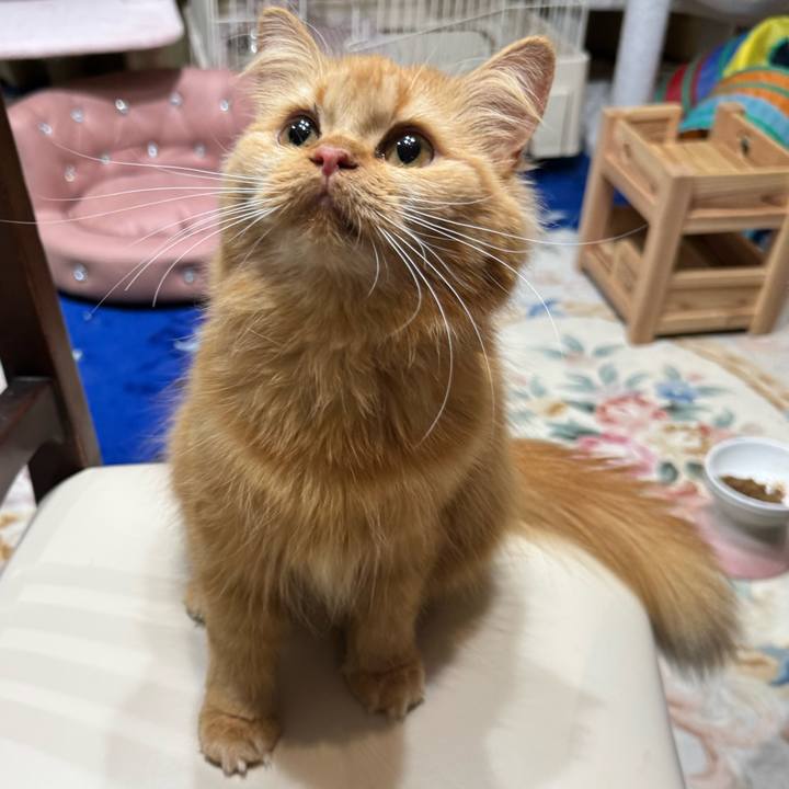 A975fc8e 4c3f 4f20 b37b 15578fdedca4 1754698800549