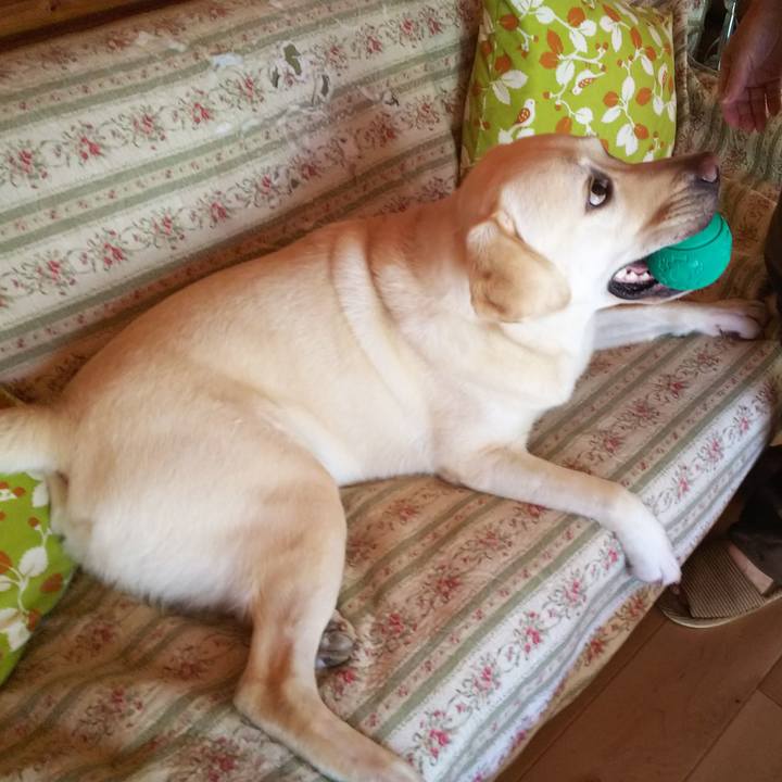 A9765920 e025 4f7f afd6 95c92cb72b31 1533429656116