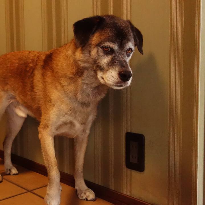 A9767012 a2d5 4df0 81bc d8fbc030a6da 1647391906712