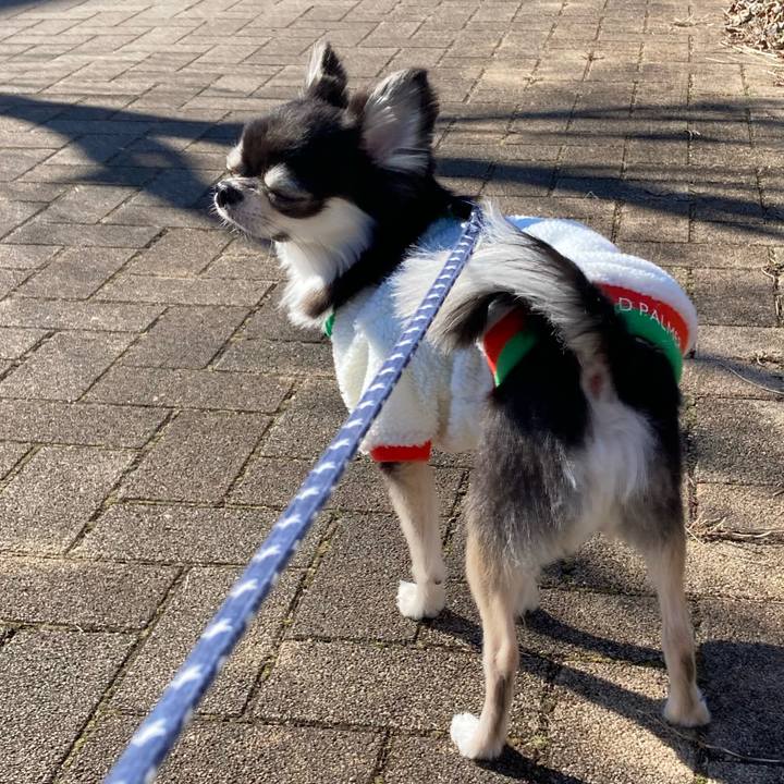 A976a0d4 2e8d 470c 862d b59da7221d44 1645587402565