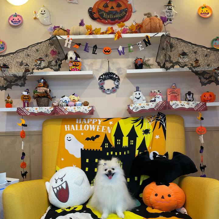 A976a7f3 21a2 491d a207 910e91e080d7 1634876484659