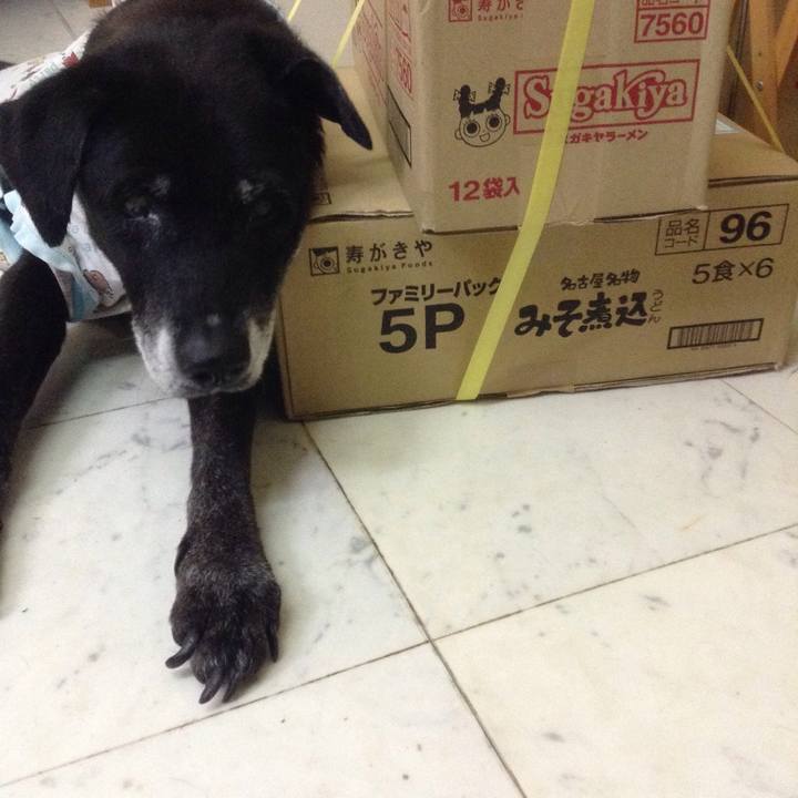 A976cc7e 2365 4ece a9df 8b59fb6e4107 1510481834287