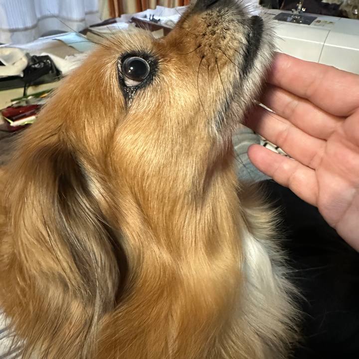 A976f756 2a34 4879 b40b 8d38945aecfa 1730927898034