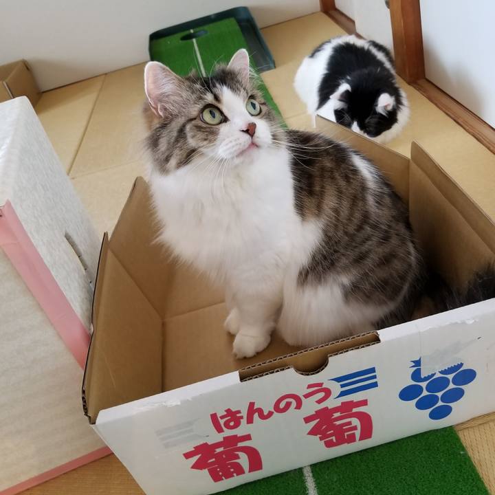 A9770459 9400 4dfa ac05 d2ade0ddf488 1535096691456