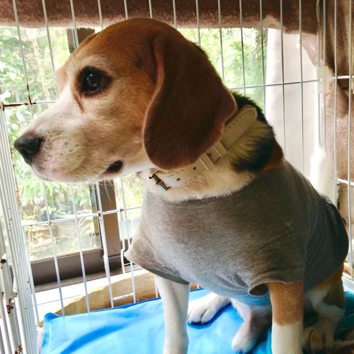 A9773a5a b03a 42bb 84ac deb9f9125fdc 1757487349113