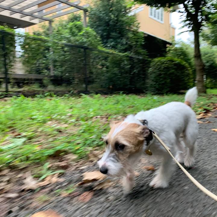 A9773a80 8f20 4cc7 b98d 4f35b5cc5f96 1599982759893