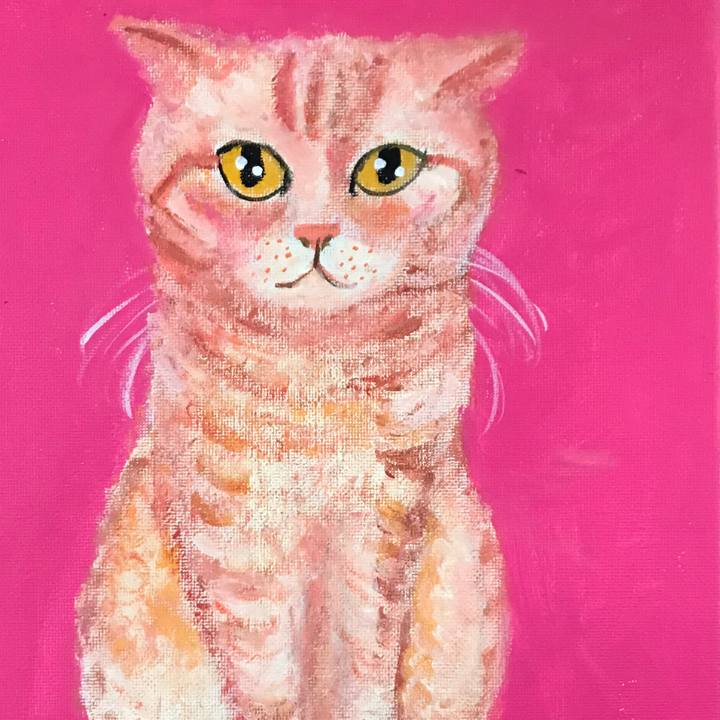 A9774313 f8b3 46ca 9c2e 91e53a047697 1574587828295