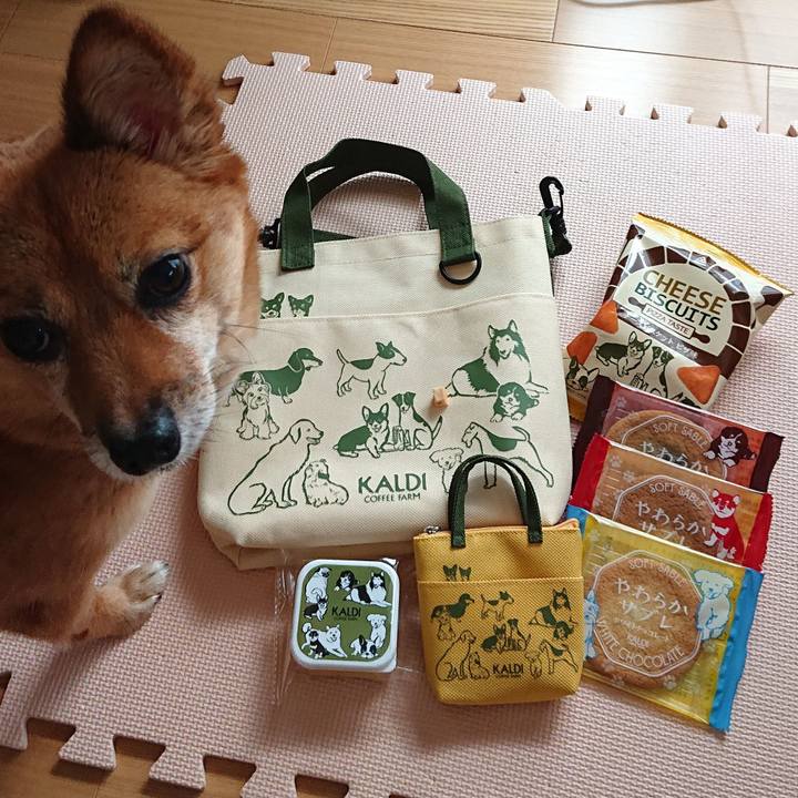 A9774d16 8be7 4366 ac54 38f8f8b82281 1604207085471