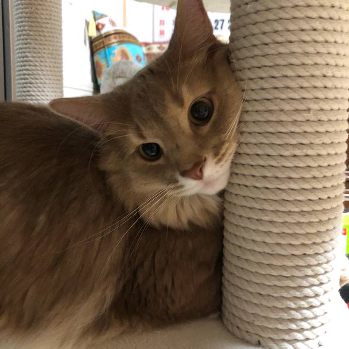 A9775bab a0ca 4702 99c8 85f09274bf9d 1622331803489