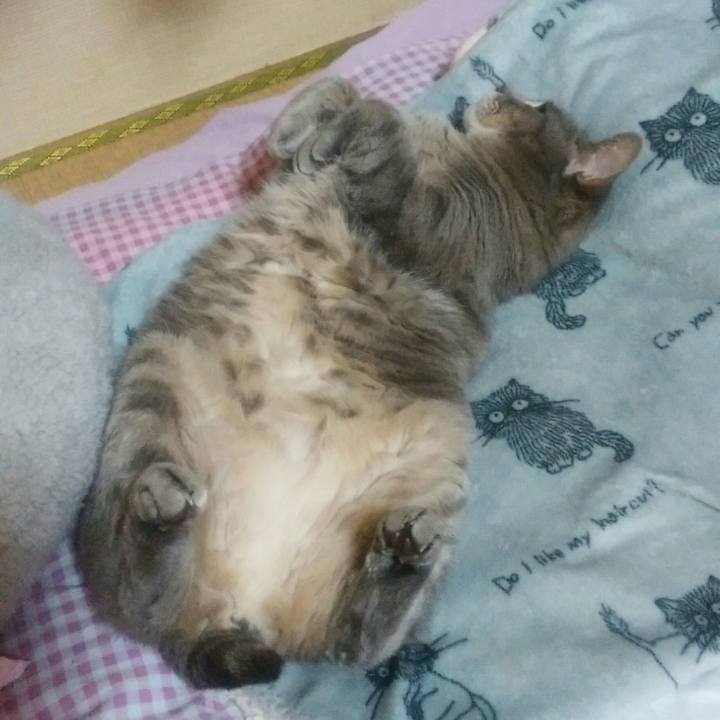 A977c2e4 1348 49c1 a5bc 3e4526179382 1524593203217